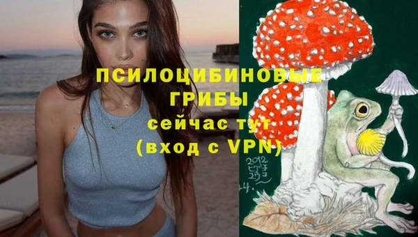 марки nbome Алексеевка