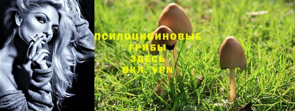 меф Арсеньев