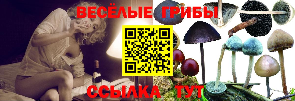 Сибай  Галлюциногенные грибы прущие грибы  Вход с VPN 